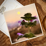 Wildflowers On The Rillito Postcards by Libby Tobey
