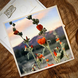Wildflowers On The Rillito Postcards by Libby Tobey