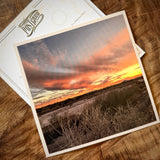 Wildflowers On The Rillito Postcards by Libby Tobey