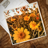 Wildflowers On The Rillito Postcards by Libby Tobey