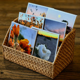Wildflowers On The Rillito Postcards by Libby Tobey