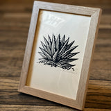 Framed Sonoran Specimens Prints by Westerner Studio