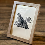 Framed Sonoran Specimens Prints by Westerner Studio
