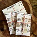 Postcard Packs by Marcy Ellis