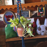 Macramé Plant Hangers by Melrose Macramé*