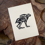 Sonoran Specimens Prints by Westerner Studio