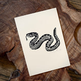 Sonoran Specimens Prints by Westerner Studio