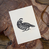 Sonoran Specimens Prints by Westerner Studio