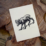 Sonoran Specimens Prints by Westerner Studio