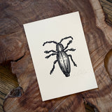 Sonoran Specimens Prints by Westerner Studio