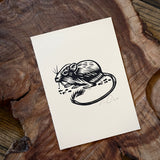 Sonoran Specimens Prints by Westerner Studio