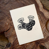 Sonoran Specimens Prints by Westerner Studio
