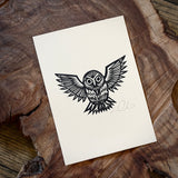 Sonoran Specimens Prints by Westerner Studio