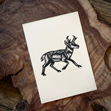 Sonoran Specimens Prints by Westerner Studio