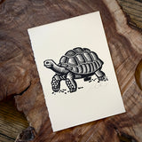 Sonoran Specimens Prints by Westerner Studio