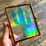 Rainbow Frames by Toad Knot