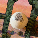 Bath Bombs by Remedes + Richewels