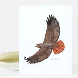 Cards by Various Artists*