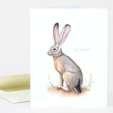 Cards by Various Artists*