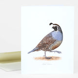 Cards by Various Artists*