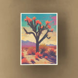 Postcard Packs by Spina/Novoa