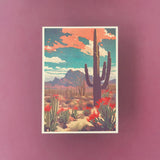 Postcard Packs by Spina/Novoa