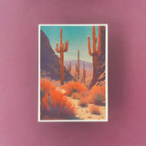 Postcard Packs by Spina/Novoa