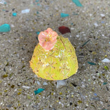 Ceramic Cacti by Mehgan on the Moon