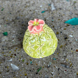 Ceramic Cacti by Mehgan on the Moon