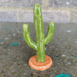 Ceramic Cacti by Mehgan on the Moon