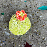 Ceramic Cacti by Mehgan on the Moon
