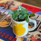 Cactus Cups