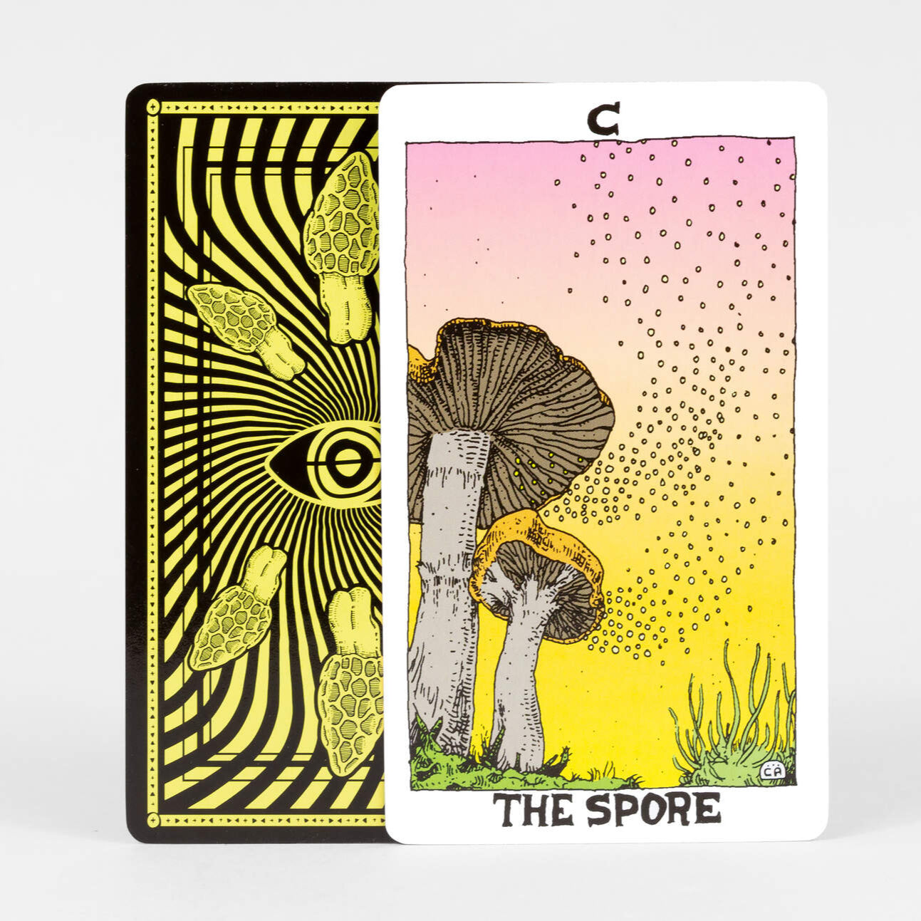 The Mushroom Tarot Deck* – Pop Cycle Tucson