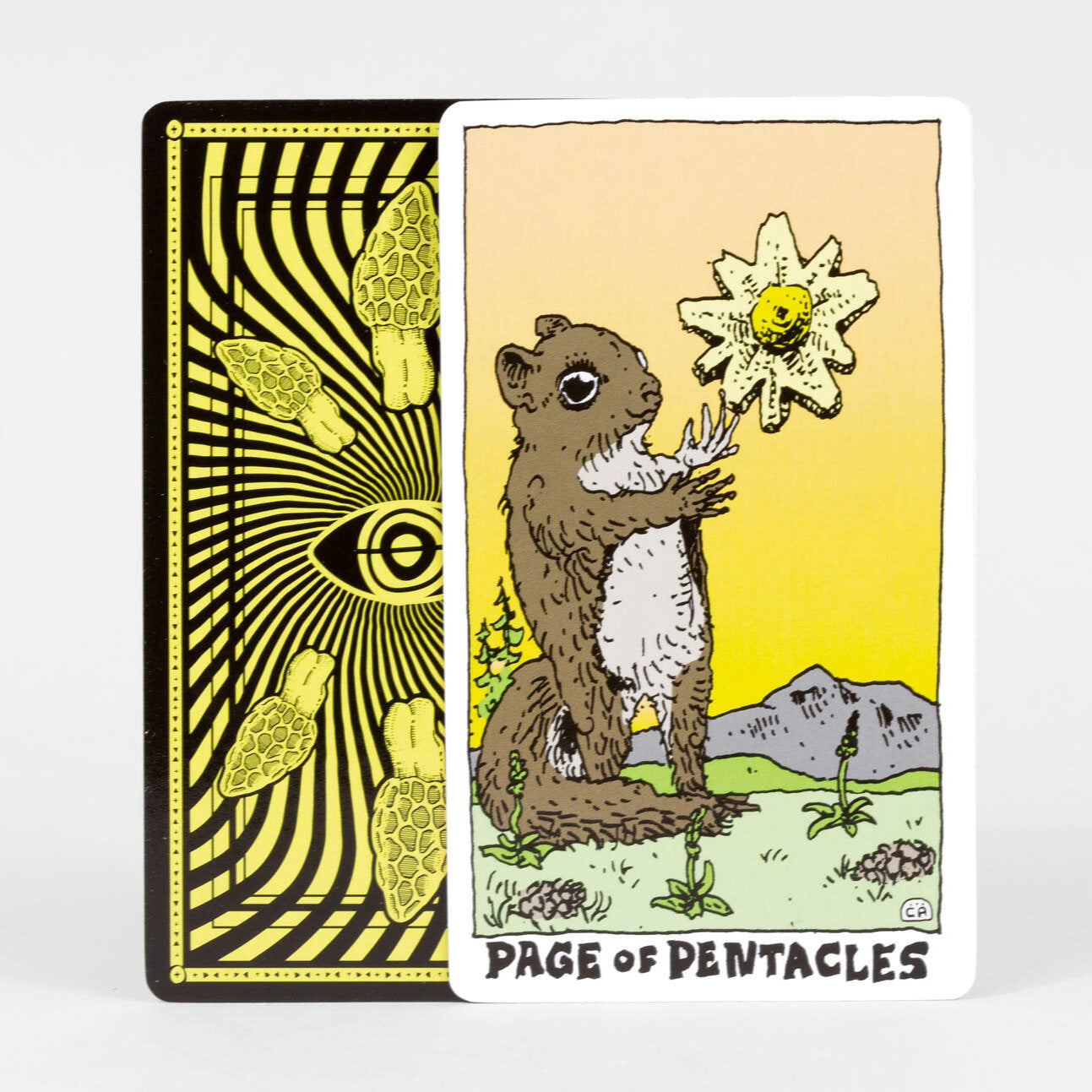 The Mushroom Tarot Deck* – Pop Cycle Tucson