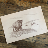 Frank Childers Natural History Prints