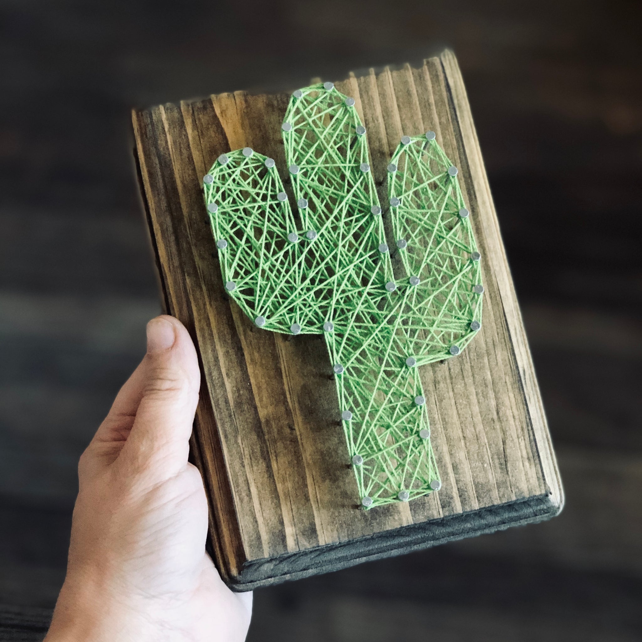 5x7 Cactus String Art by String & Stencil – Pop Cycle Tucson