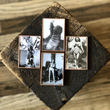 Set of 4 reclaimed magnets by DDco Design