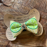 Dog Bow Tie by Aall Forms of Life