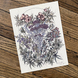 Art Prints by Marcy Ellis