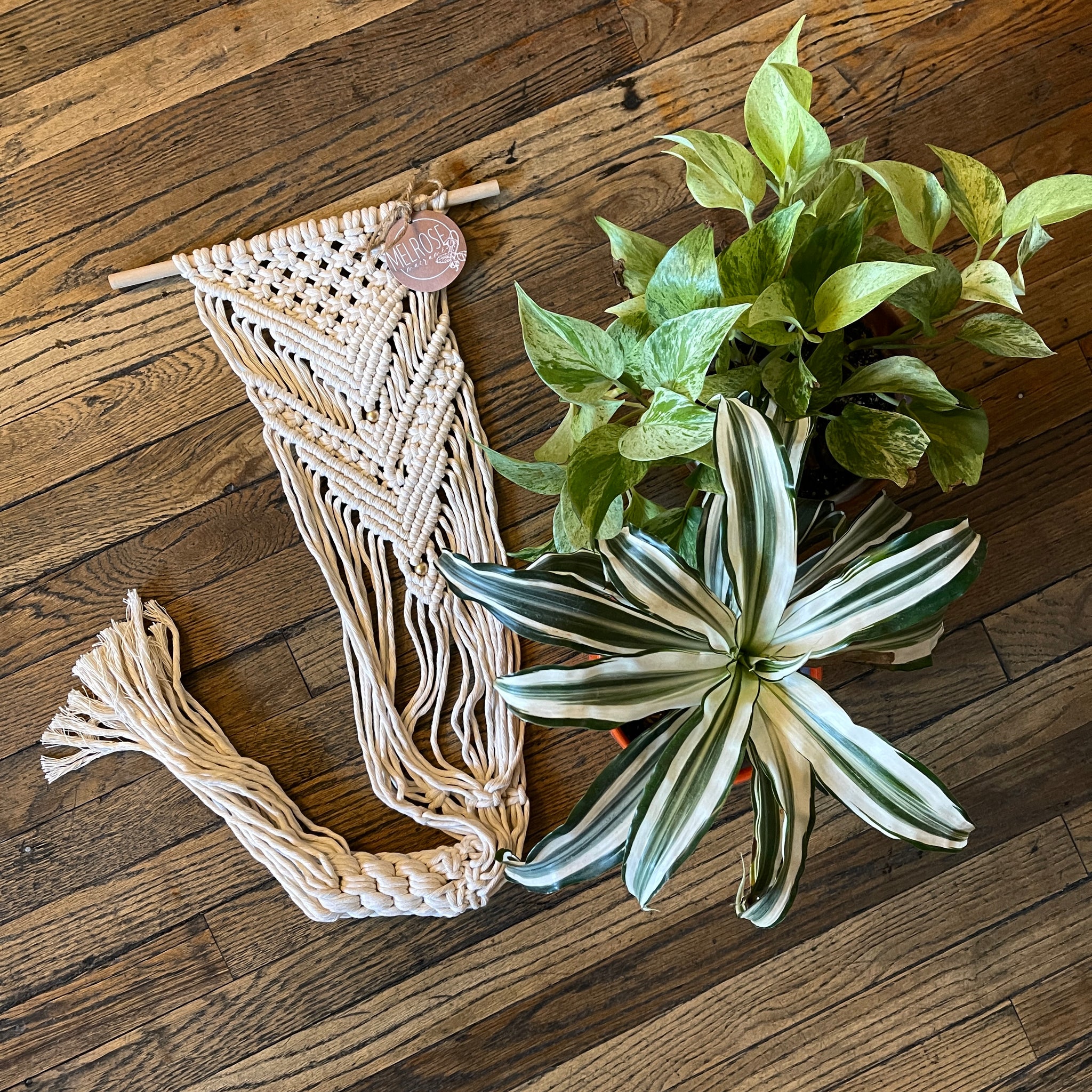 macrame pocket plant hanger Macramé Plant Hangers by Melrose Macramé* – Pop Cycle Tucson