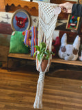 Macramé Plant Hangers by Melrose Macramé