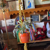 Macramé Plant Hangers by Melrose Macramé