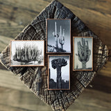 Set of 4 reclaimed magnets by DDco Design