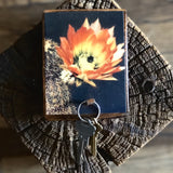 Botanical Cactus Key Hanger