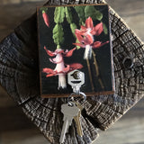 Botanical Cactus Key Hanger