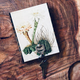 Botanical Cactus Key Hanger