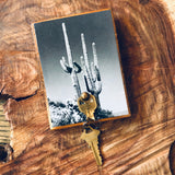 Botanical Cactus Key Hanger
