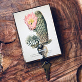 Botanical Cactus Key Hanger