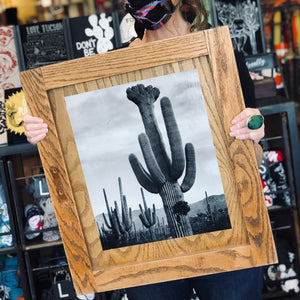 A- DDco Cabinet Door B&W Cactus