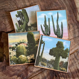 Coaster Set of 4 By DDco Design